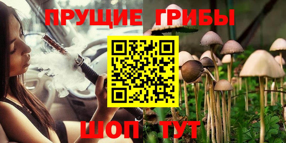 Галлюциногенные грибы Psilocybine cubensis  купить наркотики сайты  Подольск  Вход с VPN 