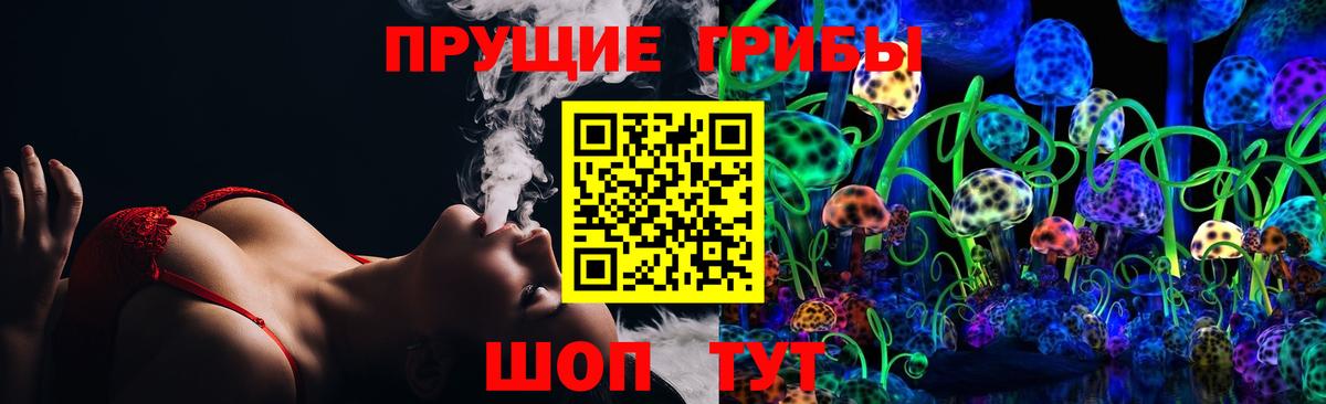 Псилоцибиновые грибы Cubensis Подольск